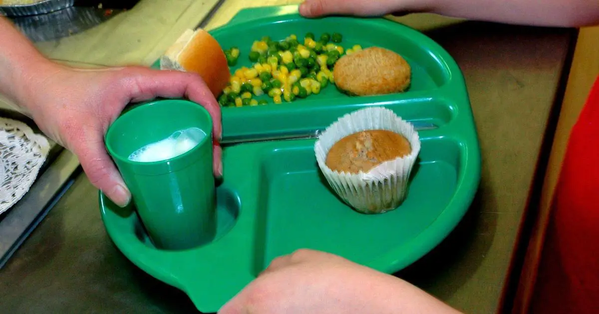 MP's office garden covered in empty plates in school meals protest