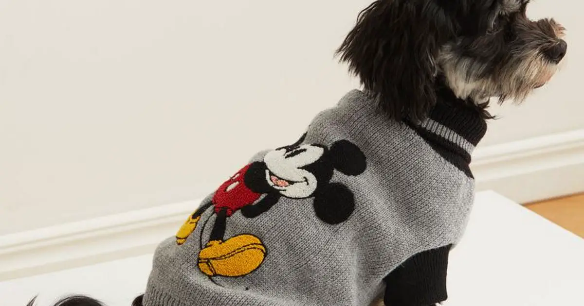 Disney-lovers can get Mickey Mouse jumpers for dogs as H&M launch adorable range