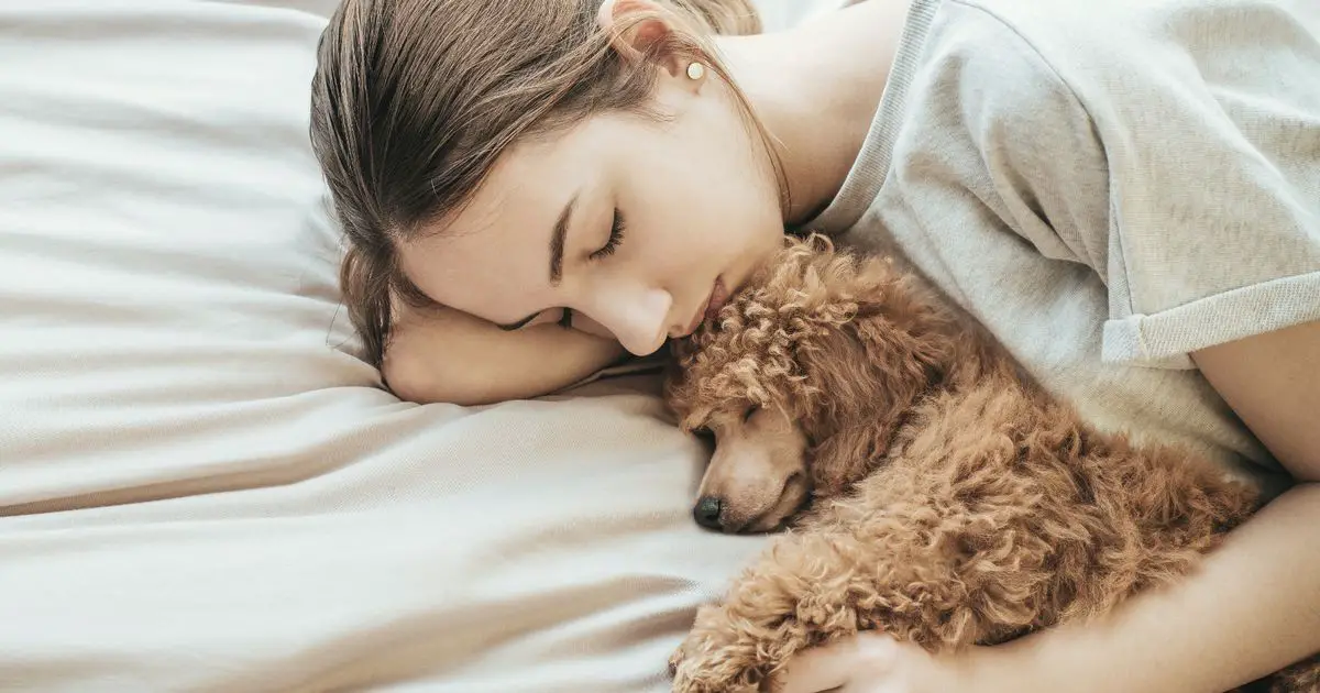 Energy firm says sorry for 'cuddle your pets to keep warm' advice