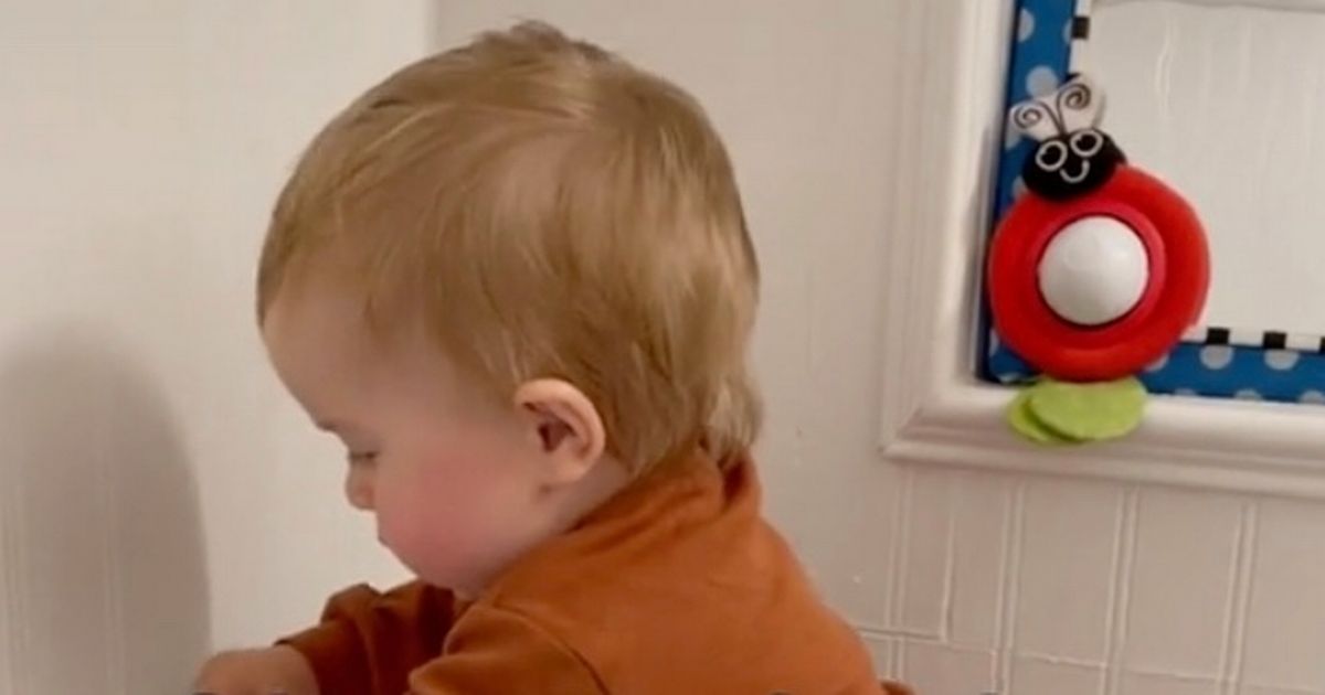 Mum stuns other parents by teaching son to use potty by himself at just 6 months old