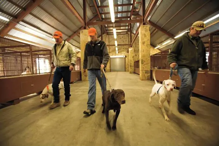 The Mesa Visa Ranch property includes a tennis court, small golf course, an airport, and an 11,000-square foot kennel for hunting dogs with 40 bird dogs.