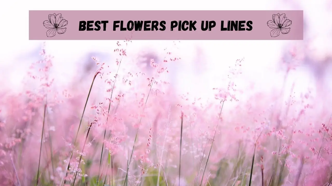 Best Flowers Pick Up Lines