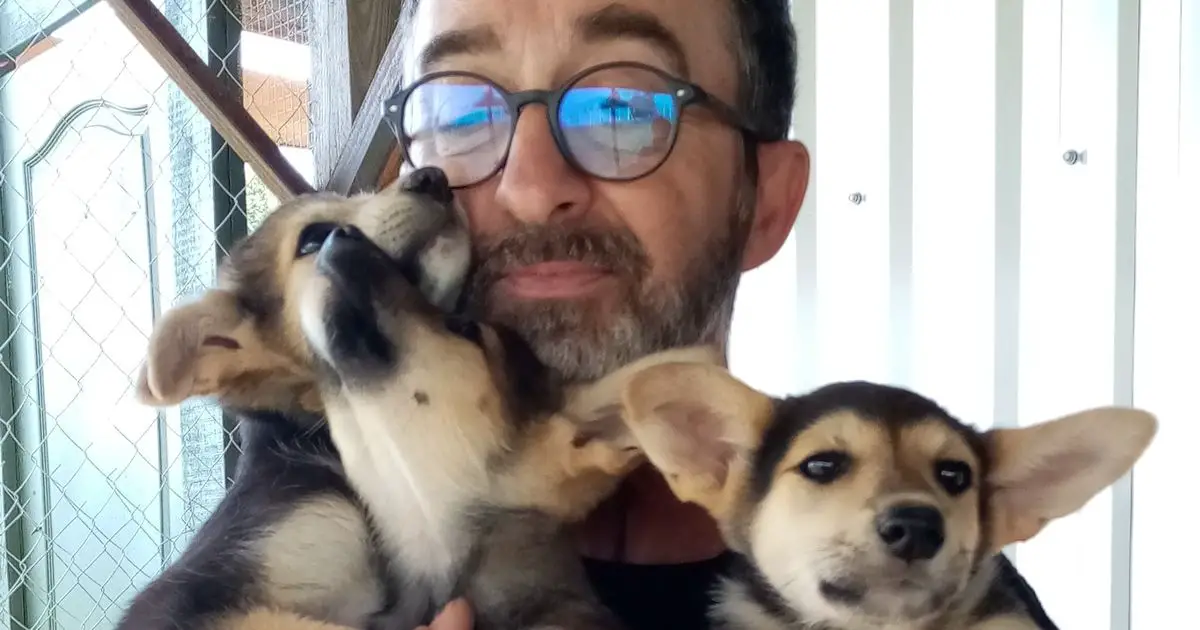 Andrea Cisternino with three rescue puppies