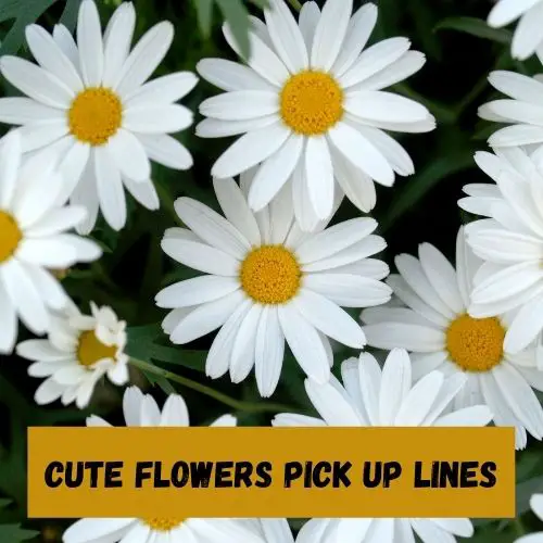 cute lines flowers