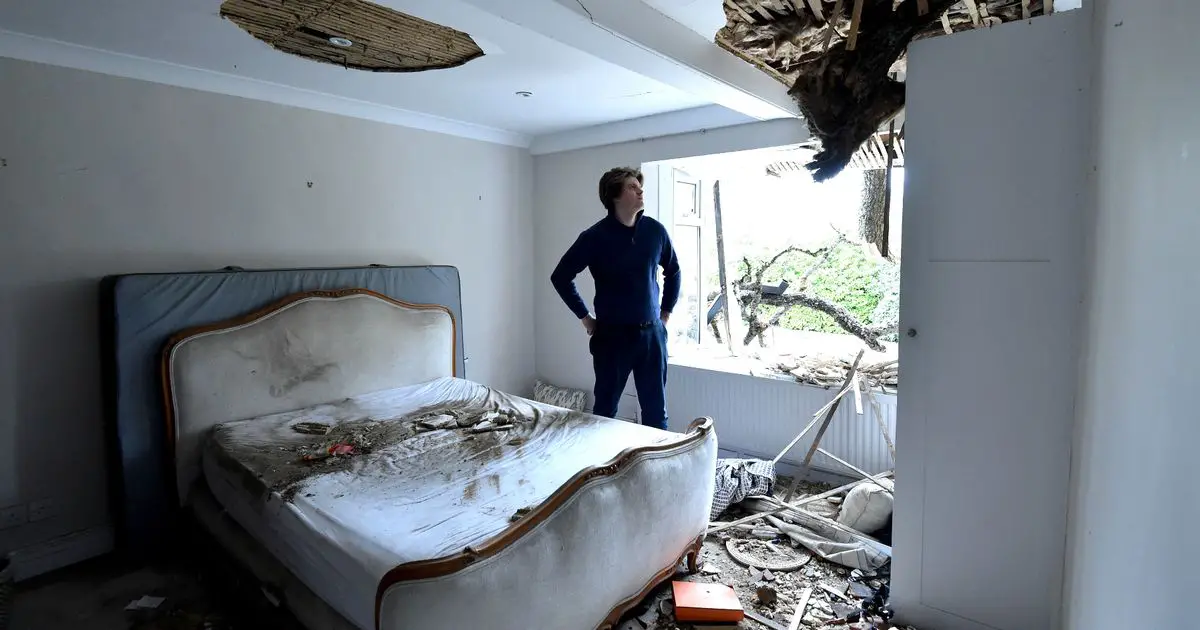 Family home wrecked as huge 400-year-old oak tree crashes through the roof