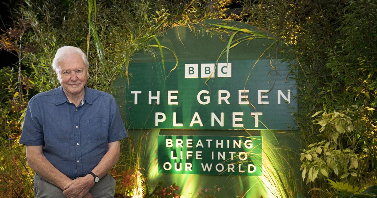 How long did it take to film The Green Planet?