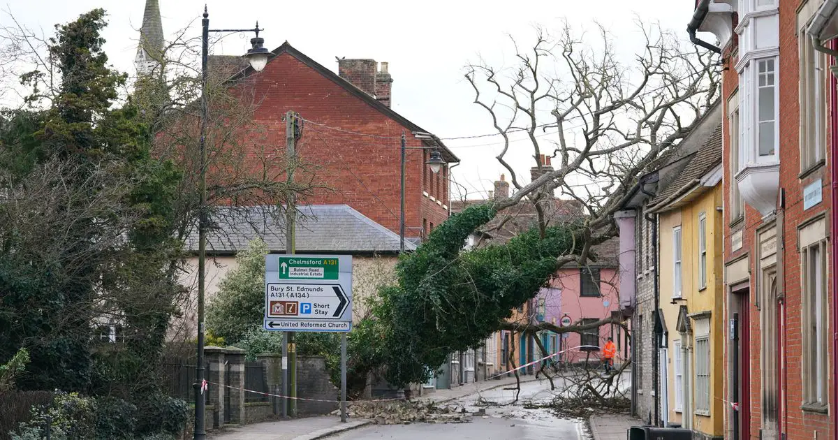 Motorist killed by falling tree as Storm Eunice claims first UK casualty