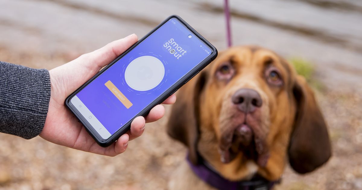 New app developed to track missing dogs by their 'snout print'