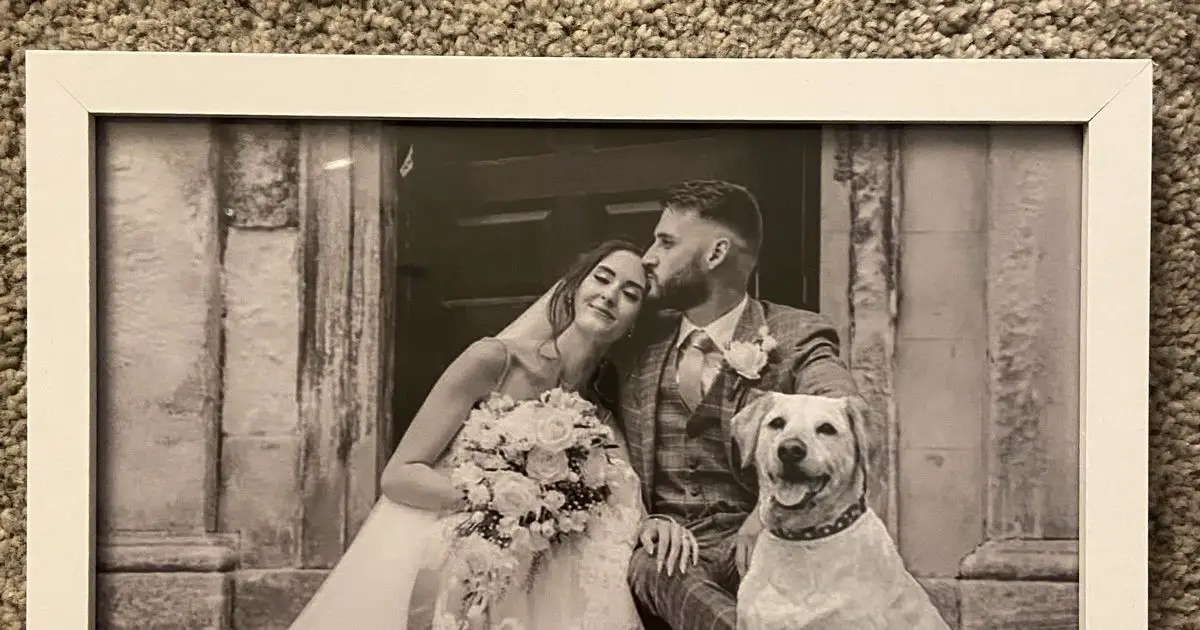 Newlywed bursts into tears when pals photoshop beloved dead pooch into wedding photo