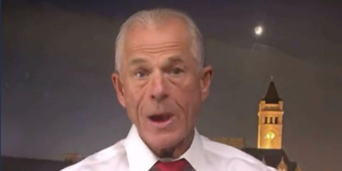 Peter Navarro Gets Testy When Asked If Kamala Harris Can Throw Out Election Results