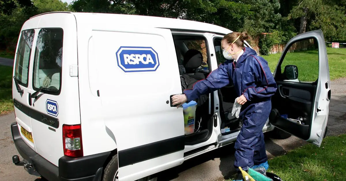 RSPCA investigating reports of dog being 'stabbed to death'