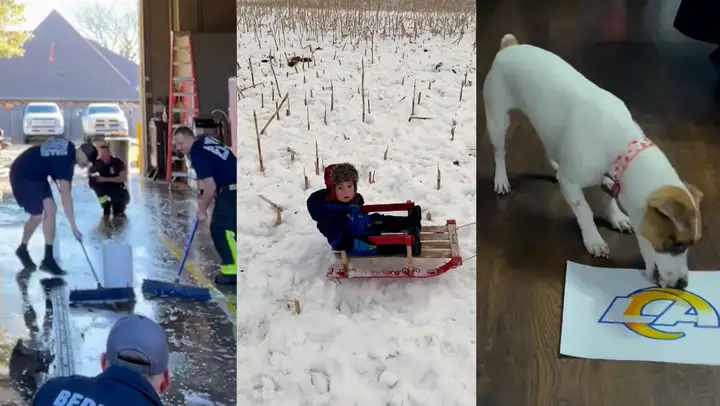 Sledding babies, winner-picking pups and improv curling: Prime Cuts