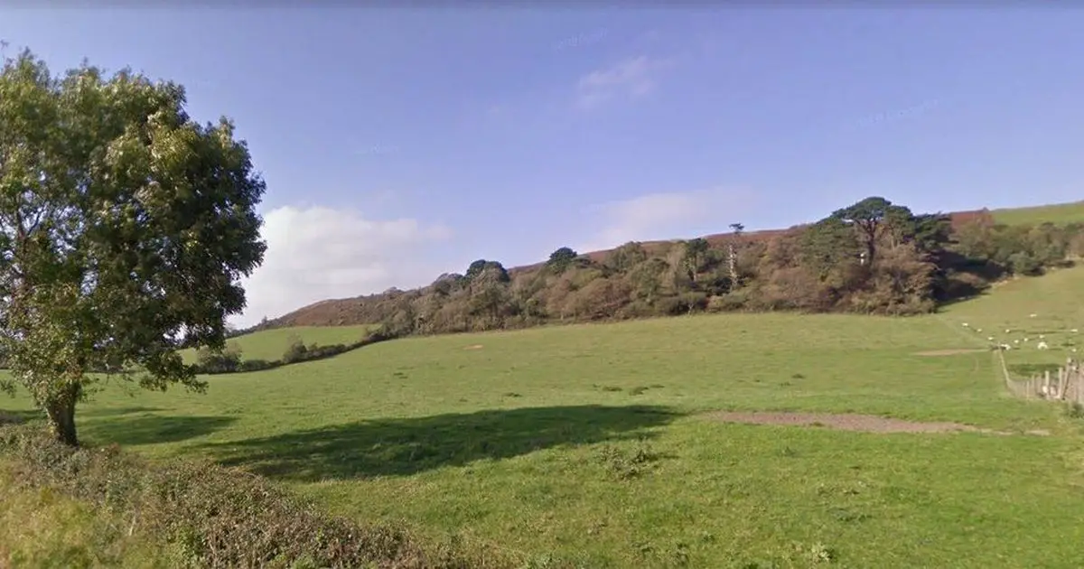 Two teenagers found dead at beauty spot have been named
