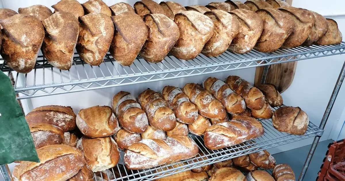 What is sourdough bread and is it healthy? New research finds huge health benefits