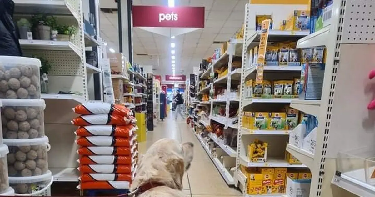 Wilko customers left divided after announcing dogs are welcome across 200 stores in UK