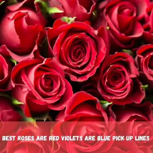 best roses are red and violets are blue pick up lines