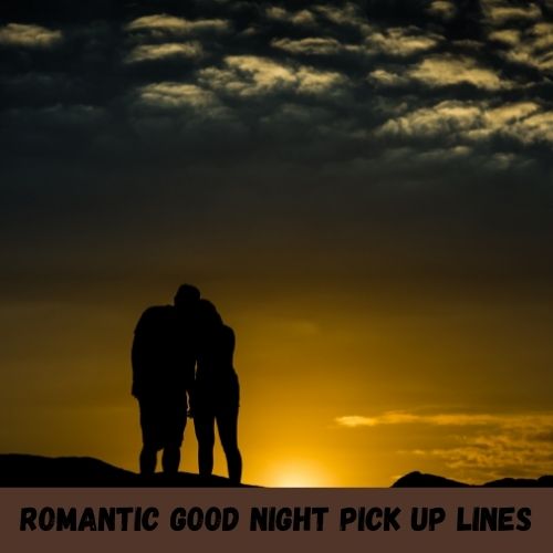 romantic good night pick up lines