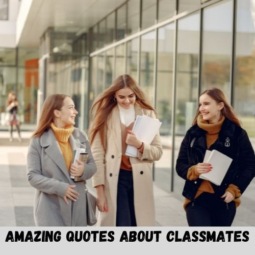 amazing quotes about classmates