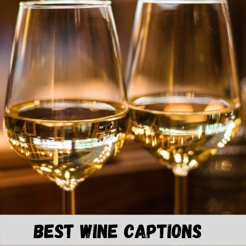 best wine captions
