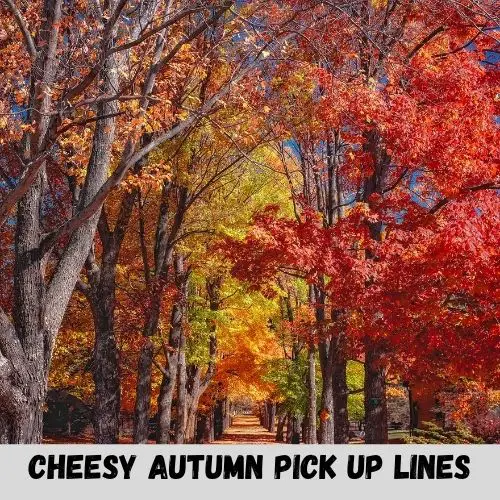 cheesy autumn pick up lines