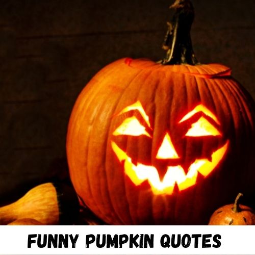 funny pumpkin quotes