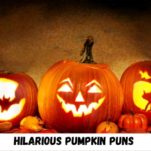hilarious pumpkin puns