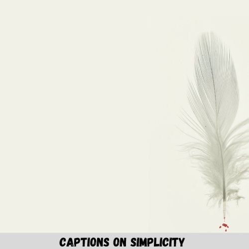 Captions On Simplicity
