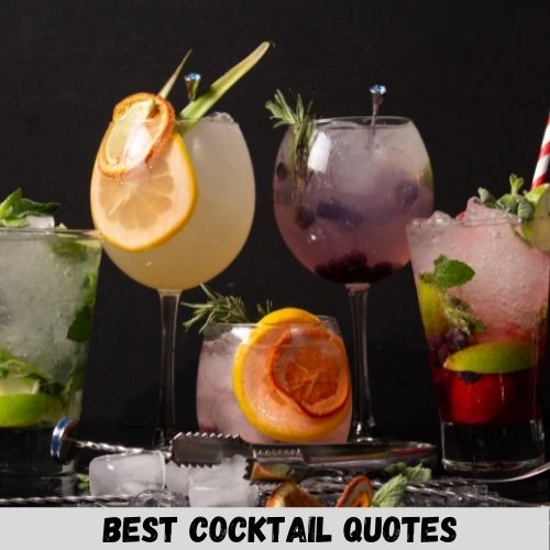 cocktail quotes