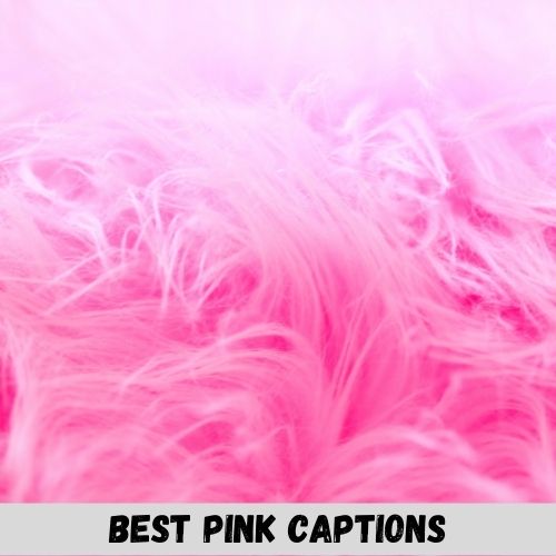 pink captions