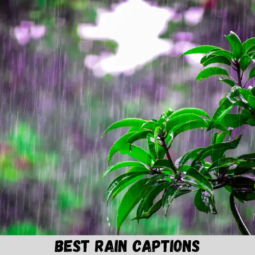 best rain captions