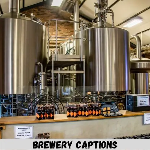 brewery captions