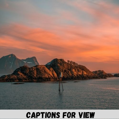 captions for view