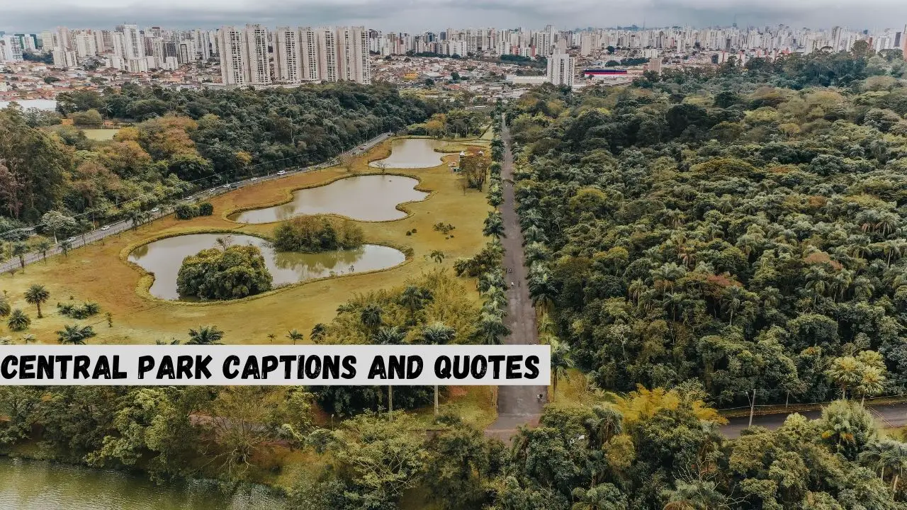 central park quotes and captions
