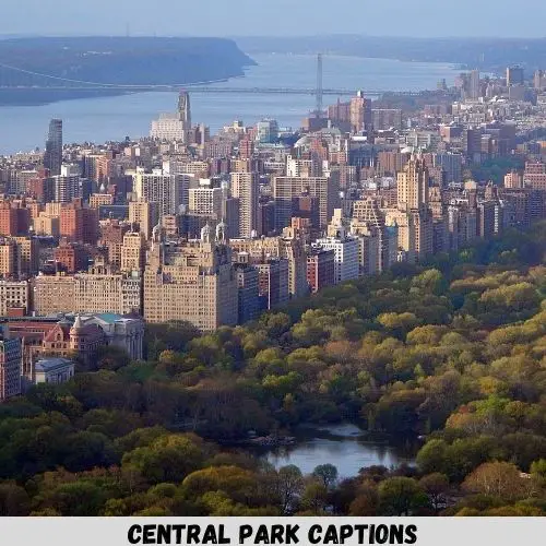 central park captions
