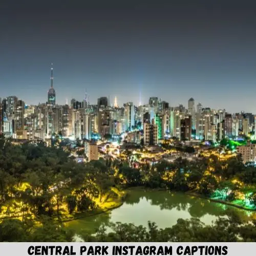 central park instagram captions