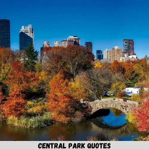 central park quotes