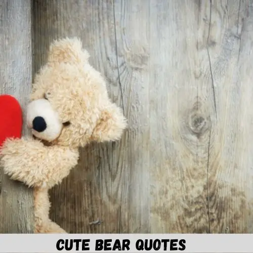 cute bear quotes