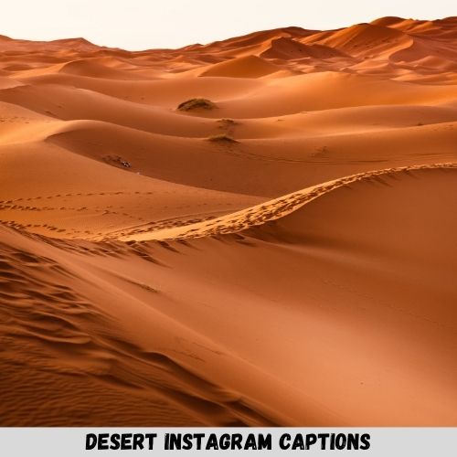 Desert Instagram Captions