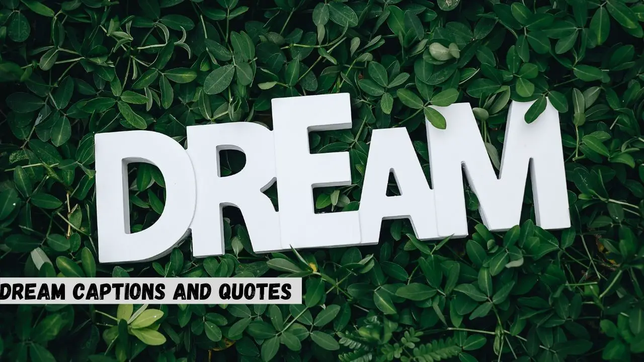 Dream Captions and quotes