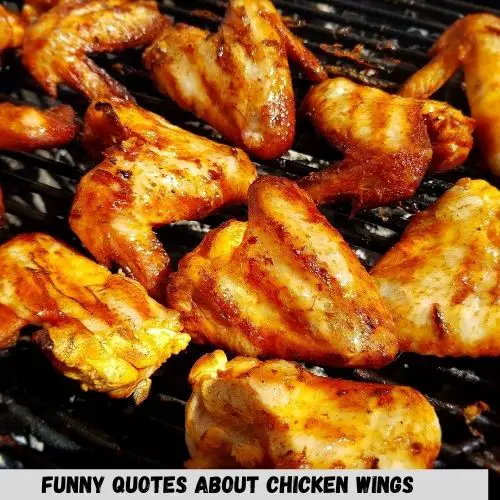 Funny Quotes About Chicken Wings