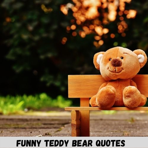 funny teddy bear quotes