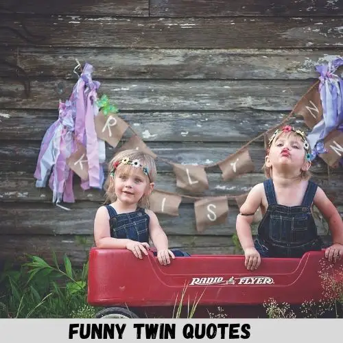 funny twin quotes