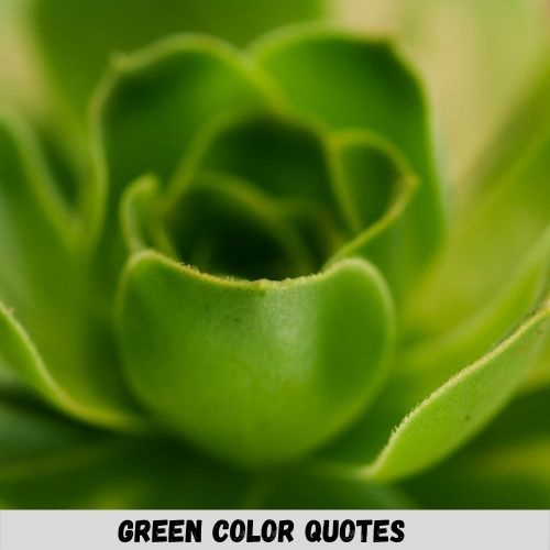 color green quotes