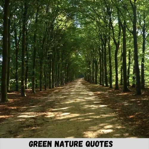 green nature quotes
