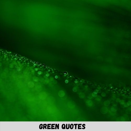 green quotes