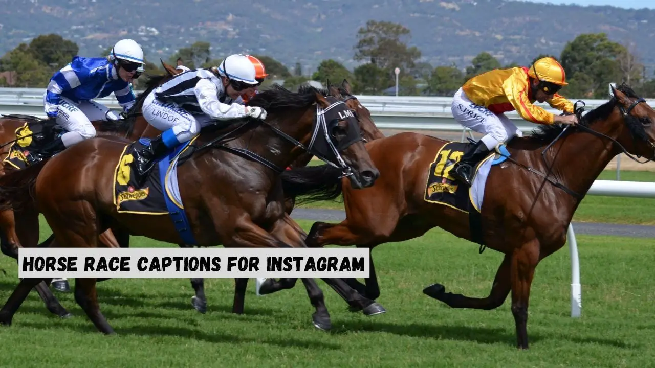 horse race instagram captions