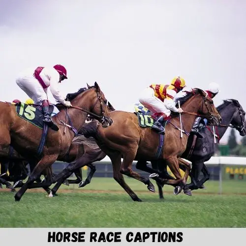 horse race captions
