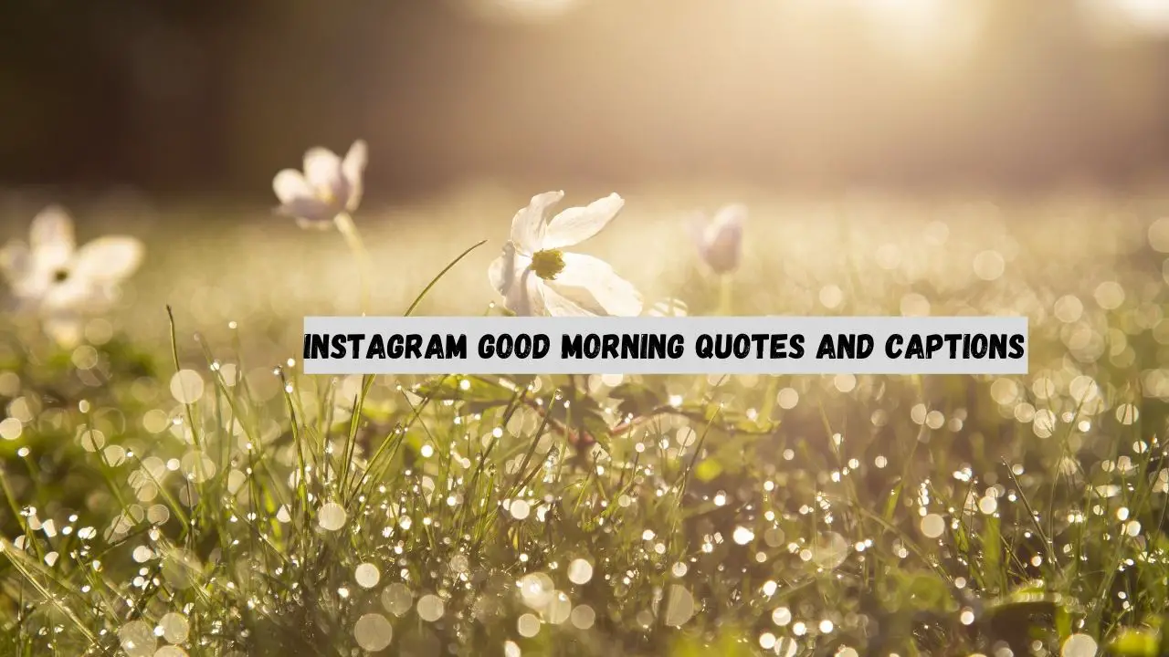 137+ Instagram Good Morning Quotes & Captions 1