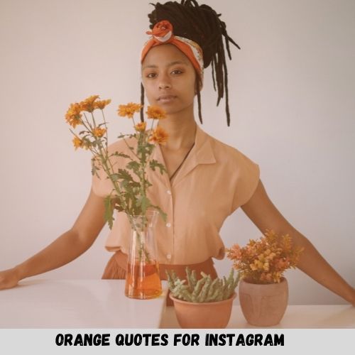 Orange Quotes For Instagram