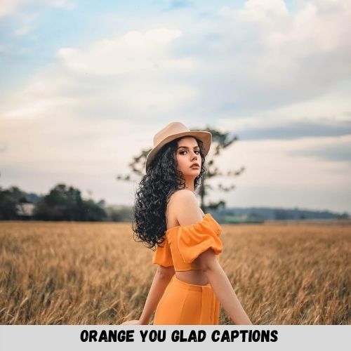 Orange You Glad Captions